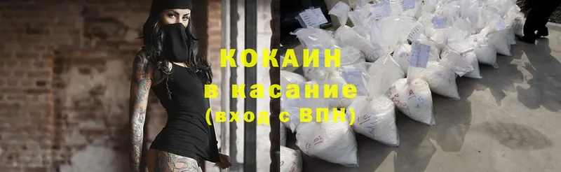 дарк нет какой сайт  Шагонар  Cocaine FishScale  mega как войти 