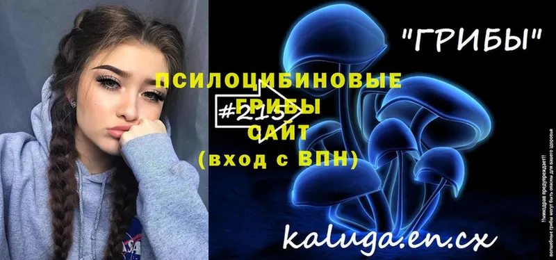 купить наркотики цена  Шагонар  Галлюциногенные грибы ЛСД 